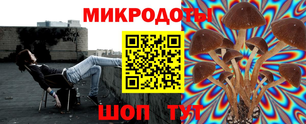 Псилоцибиновые грибы мицелий Конаково